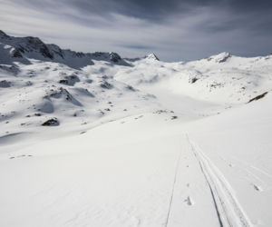 Lawina porwała narciarkę z psem. Co pokazało wstrząsające nagranie z Pirenejów?