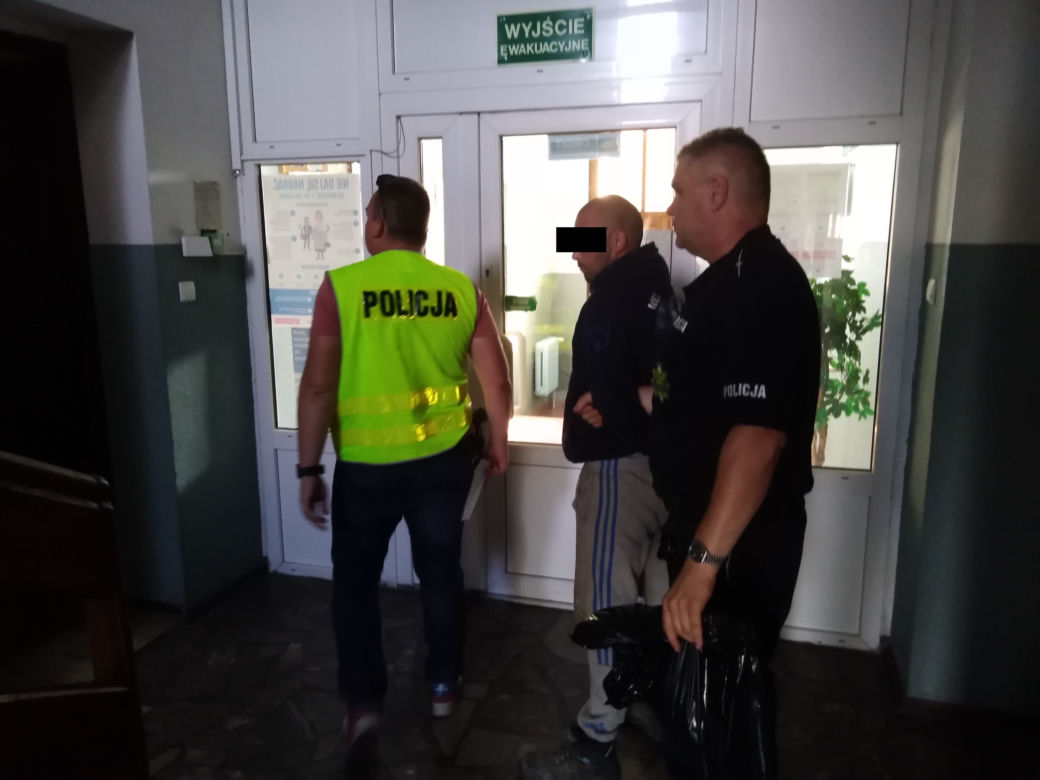 Ogromna plantacja marihuany w regionie! Policjanci zabezpieczyli ponad 430 krzewów [ZDJĘCIA]