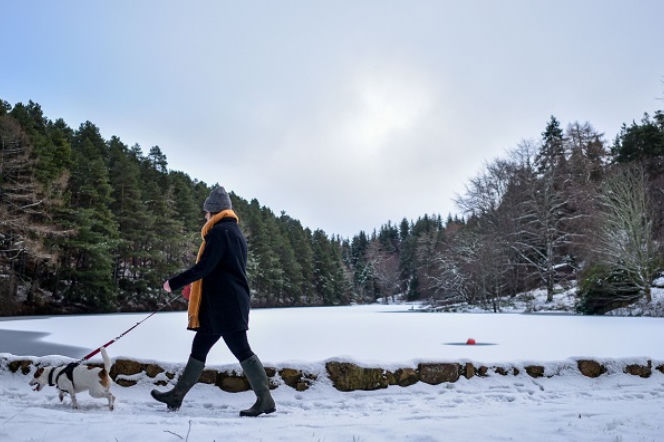Śnieg 2016 - grudzień przywitał nas zimową aurą!