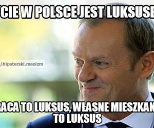 7 memów na 7 lat rządów Donalda Tuska