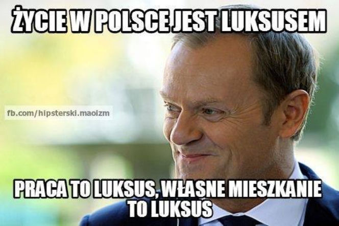7 memów na 7 lat rządów Donalda Tuska