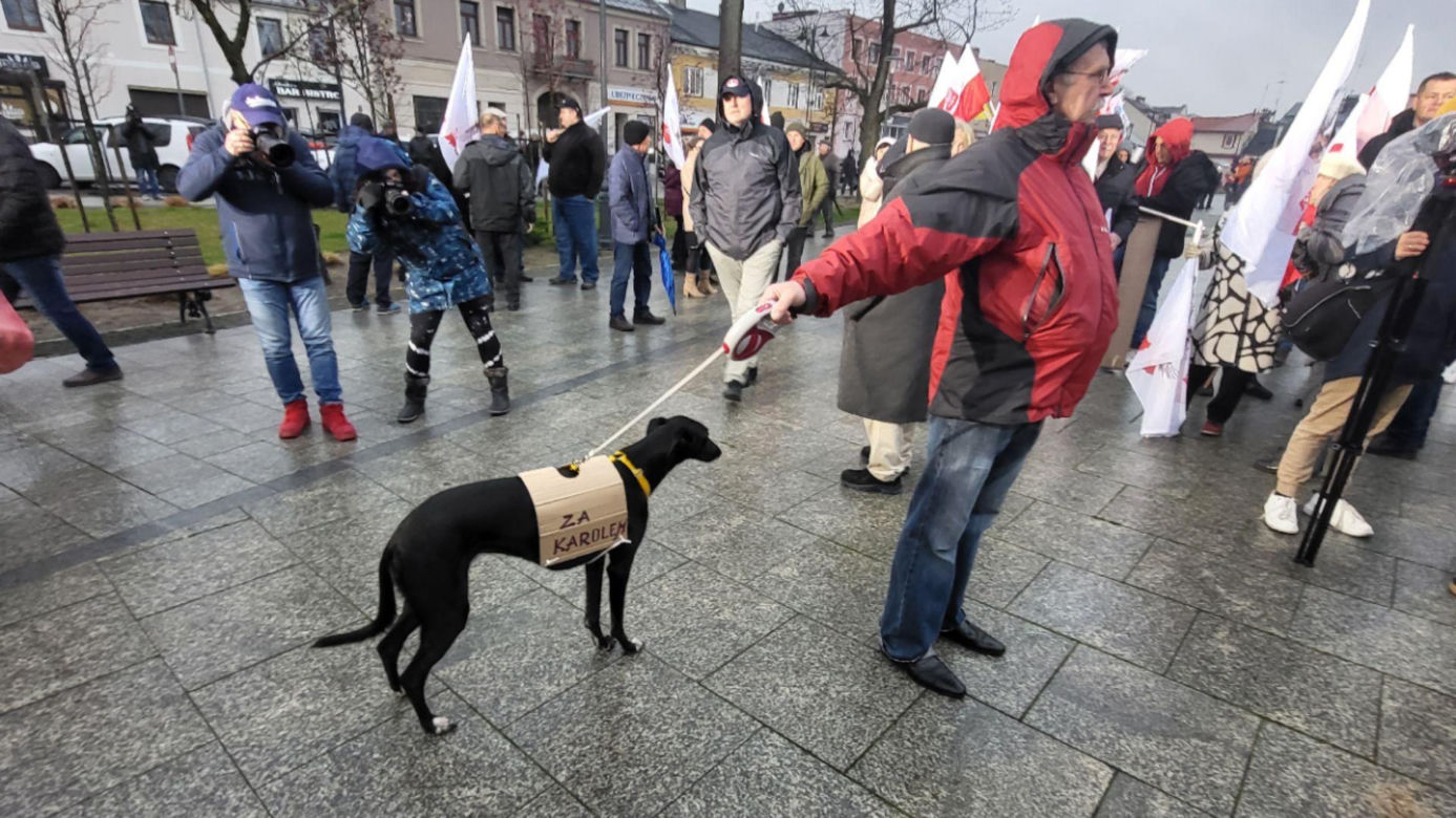 Debata w Końskich. Tłum ludzi przed sceną na rynku [zdjęcia] 
