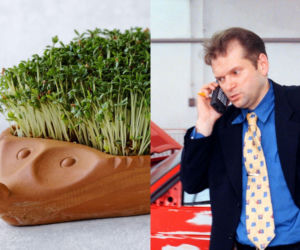 Rzeżuchy które wyglądają jak Krzysztof Rutkowski i jego legendarne fryzury