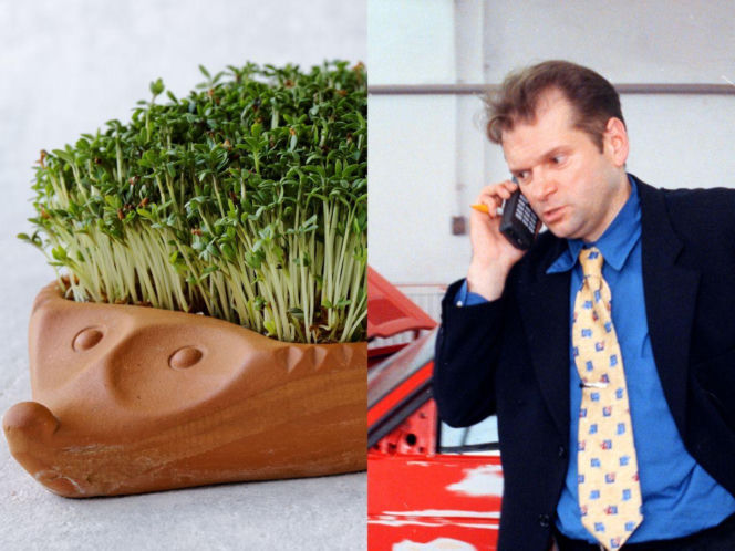 Rzeżuchy które wyglądają jak Krzysztof Rutkowski i jego legendarne fryzury