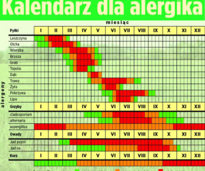 Kalendarz alergika