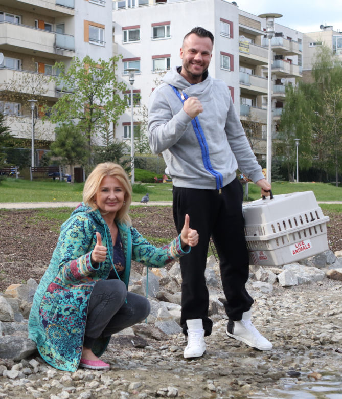 Jeżowska eksmitowała kaczą rodzinę