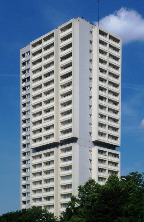 Haperowiec "Żyleta"