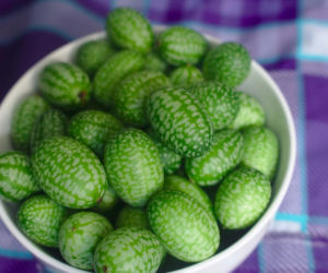 Wygląda jak miniaturowy arbuz, a smakuje zupełnie inaczej. Ta roślina w Polsce wciąż jest mało znana