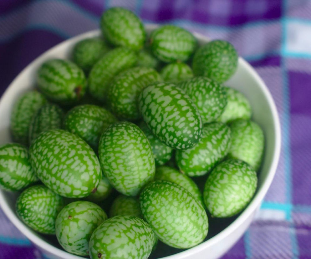 Ta roślina wygląda, jak mini arbuz. Ma szerokie zastosowanie w kuchni, a jej smak z pewnością was zaskoczy