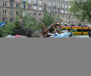 NAWAŁNICA PRZESZŁA PRZEZ WARSZAWĘ.