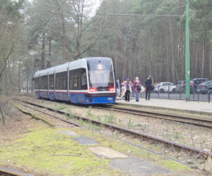 Przebudowa pętli Las Gdański ruszy w 2026 roku. Wycięto ponad 330 drzew!