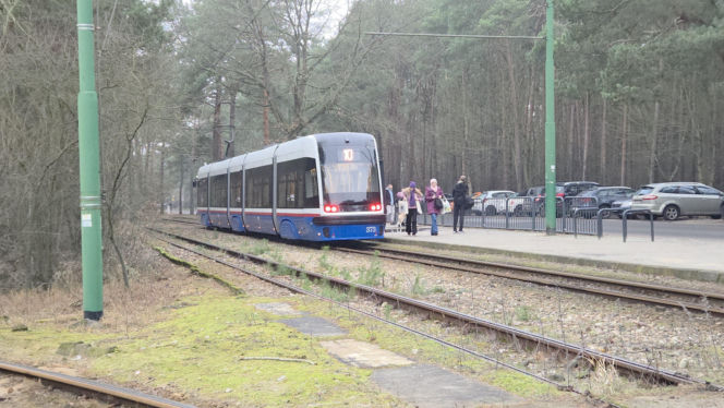 Przebudowa pętli Las Gdański ruszy w 2026 roku. Wycięto ponad 330 drzew!