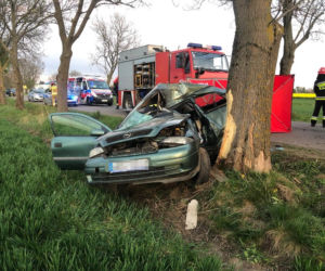 ZMASAKROWANE auto! 23-latka uderzyła w drzewo i zginęła! [ZDJĘCIA]