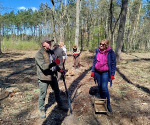 Rada Miasta Siedlce zasadziła na Sekule młody bukowy las
