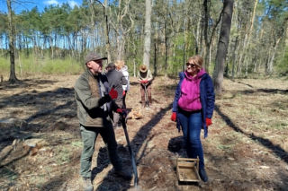 Rada Miasta Siedlce zasadziła na Sekule młody bukowy las