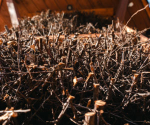 W Siedlcach powstała tężnia solankowa