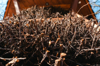 W Siedlcach powstała tężnia solankowa