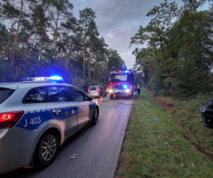 kierująca dacią nie zachowała należytej ostrożności przy wymijaniu i uderzyła lusterkiem w jadącego z przeciwka forda.