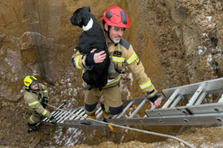 Piesek wpadł do głębokiego wykopu. Bohaterscy strażacy natychmiast ruszyli z pomocą