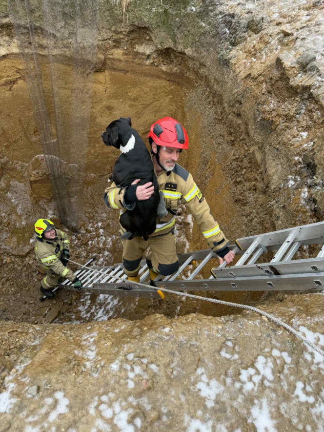 Piesek wpadł do głębokiego wykopu. Bohaterscy strażacy natychmiast ruszyli z pomocą