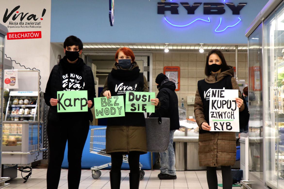 Bełchatów: Obrońcy zwierząt z akcją w markecie! 
