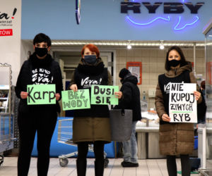 Bełchatów: Obrońcy zwierząt z akcją w markecie! 