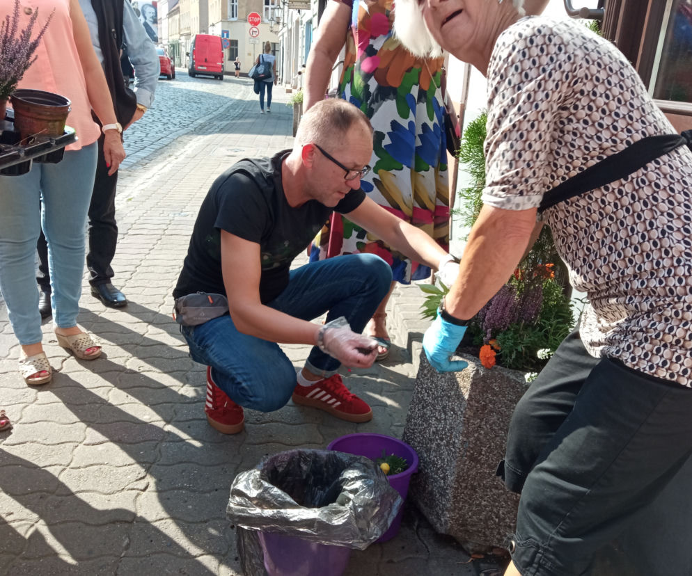 wolontariat prezydenta Leszna