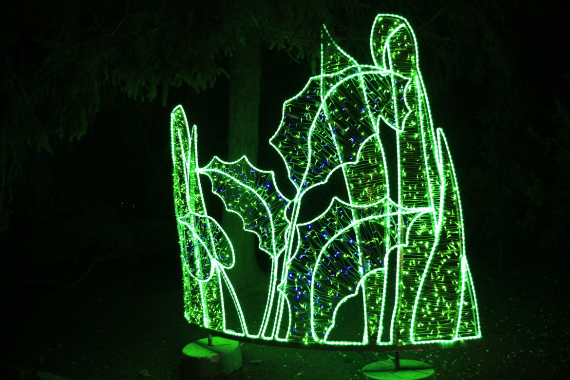 Park iluminacji „Tajemniczy Ogród” w Lublinie