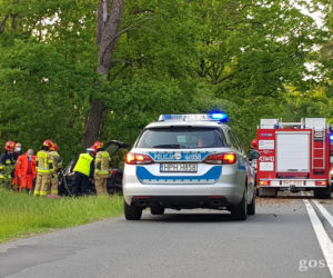 Wypadek pod Gostyninem