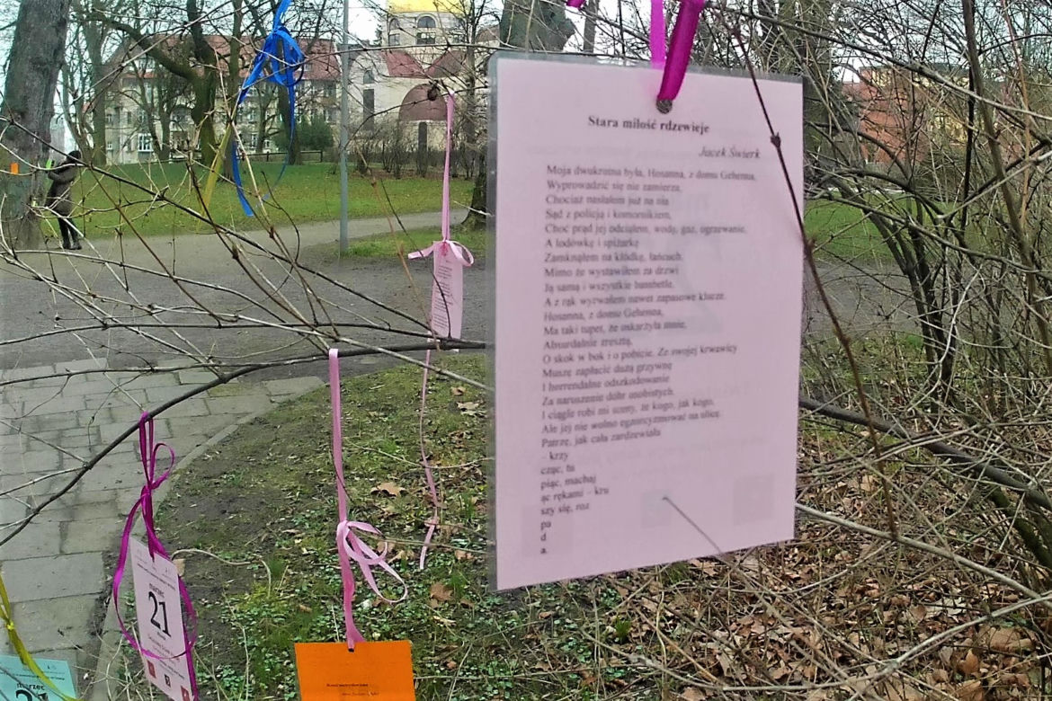 Światowy Dzień Poezji w Szczecinie