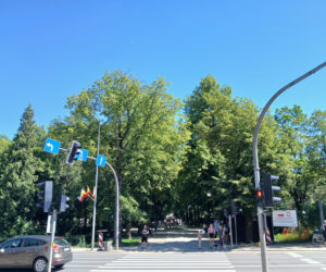Przebudowa parku Planty w Białymstoku