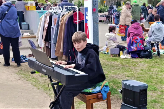 Pchli targ na Pogodnie