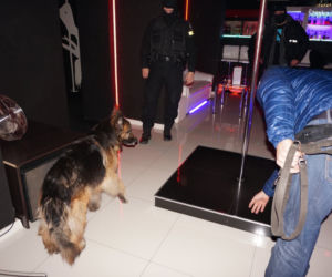 Gang sutenerów rozbity