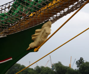 Alexander von Humboldt II