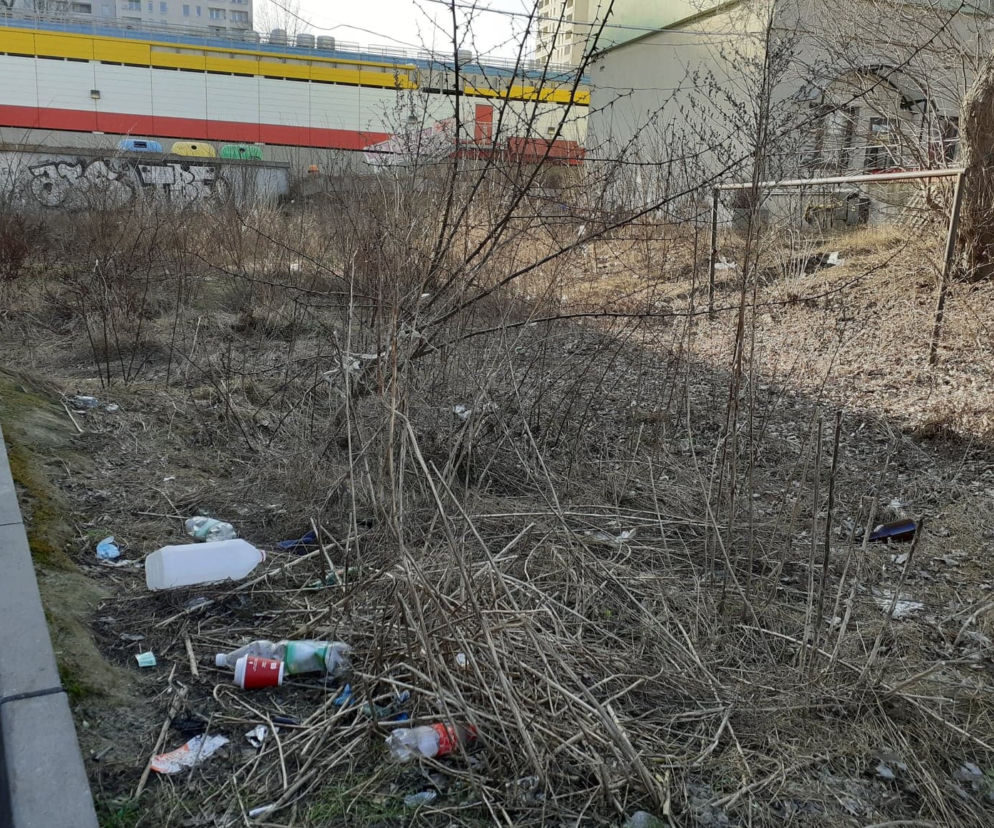 Śnieg stopniał i w całej Łodzi odsłonił tony śmieci!
