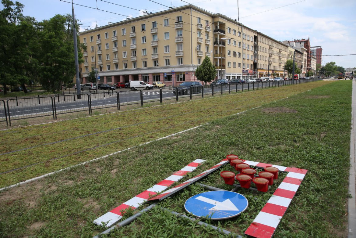 Torowisko na Grochowskiej w końcu pokrył rozchodnik