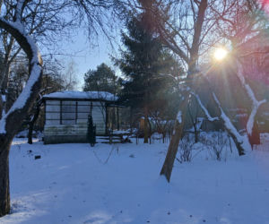 Ogródki działkowe do likwidacji w związku z budową tramwaju na Gocław
