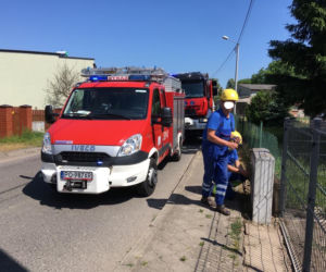 Nochowo: Dramat w piwnicy. Prąd śmiertelnie poraził 40-latka!