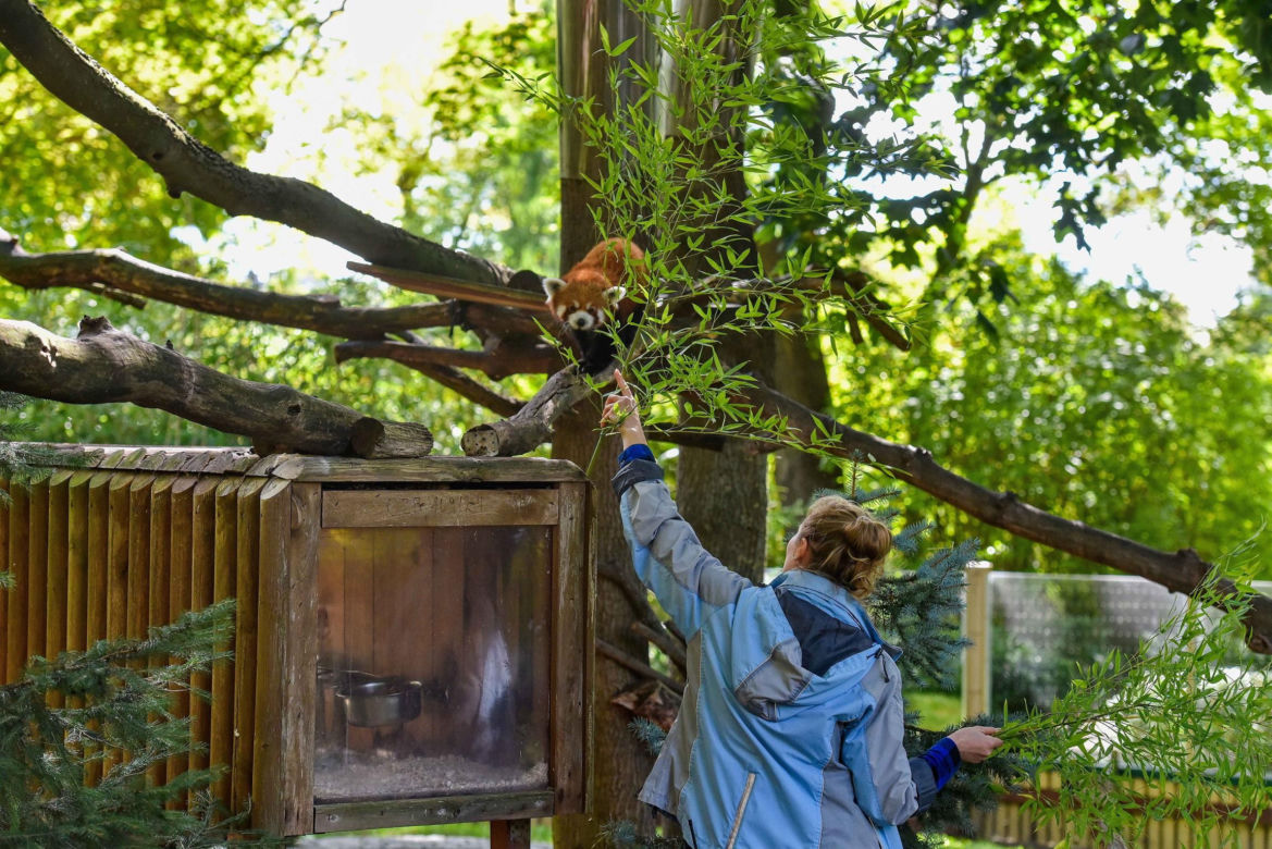 Powitajmy dwóch nowych mieszkańców toruńskiego ogrodu zoobotanicznego!
