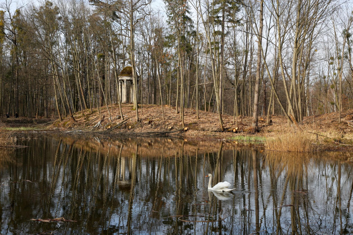 Kopalnie, huty i miliony. Tak wyglądało imperium „króla cynku”