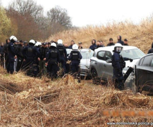 200 pseudokibiców miało wybrać się na grzyby. Chcieli zbierać je w rękawicach i kominiarkach! Zatrzymano 83 osoby