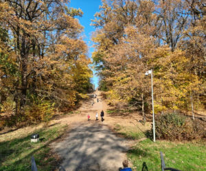 Park Miejski w Toruniu