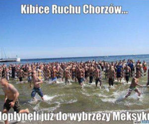 Memy meksyk gdynia kibice z chorzowa (2)
