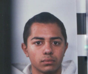 pedofile
