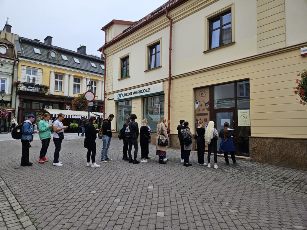 Pierwsza w Rzeszowie kocia kawiarnia już działa! Poznajcie kociaki z Kotłowni