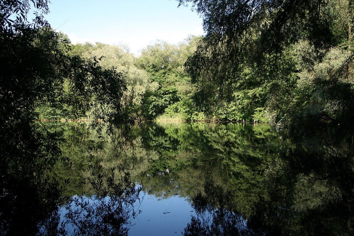 Świerczewo