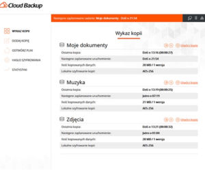 Bezpieczne przechowywanie plików w chmurze. Cloud Backup pomoże zabezpieczyć dane Twojej firmy
