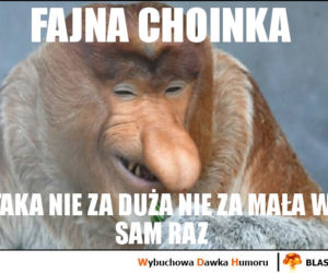 Choinka memy