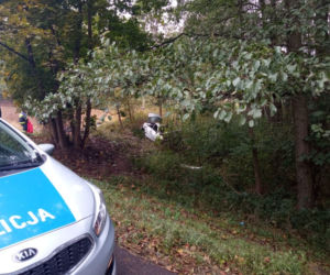 Łódzkie. Śmiertelny wypadek na DK74. Kierowca mazdy uderzył w drzewo