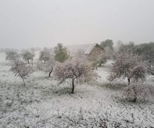 Śląskie. ZIMA w maju! Zimna Zośka zawitała do Beskidu Śląskiego [ZDJĘCIA]